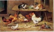 unknow artist Cocks and rabbits 130 Spain oil painting artist